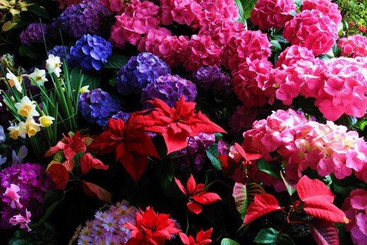 4414 (a): :2800x1867